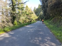 Turó de l'Home from Sant Celoni