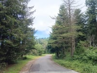 Turó de l'Home da Santa Fe de Montseny