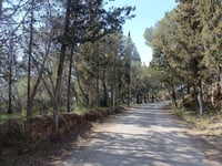 Turó del Llorito da Tarragona