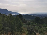 Turrón Duro / Altet del Canonge von Polop
