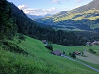 Tussweid von Frutigen