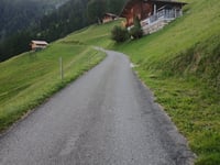 Tussweid von Frutigen