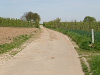 Twee Kruisen von Werm