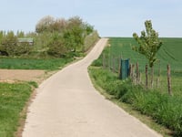 Twee Kruisen von Werm