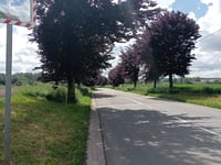 Tyberchamps from Familleureux