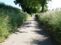 Ubachsberg über Kersboomkensweg