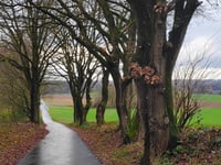 Der Kamp da Uedemerbruch