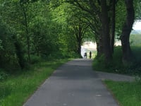 Der Kamp desde Uedemerbruch