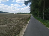 Der Kamp desde Uedemerbruch
