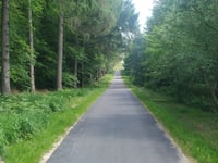 Der Kamp desde Uedemerbruch