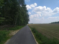 Der Kamp desde Uedemerbruch