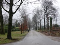 Uilentoren über Bergweg