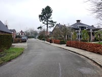 Uilentoren über Bergweg