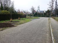 Uilentoren via Gezichtslaan