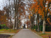 Uilentoren über Lomboklaan