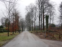 Uilentoren über Lomboklaan