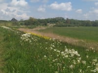 Uitzichtheuvel Spaarnwoude Südwest
