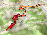Ulmethöchi von Reigoldswil