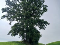 Aussichtsturm Ulmizberg da Kehrsatz