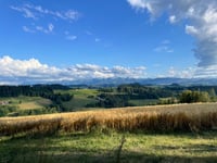 Aussichtsturm Ulmizberg da Kehrsatz