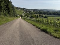 Um Goldbierg from Remich