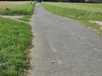 Ummertalweg