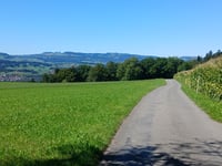 Unterer Riederenweg von Steffisburg