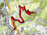 Unterholz von Pfarrwerfen