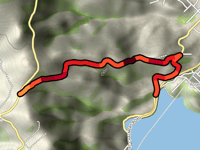Upper Junction Road