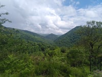 Urtzumeatza von Etxalar
