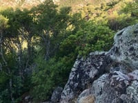 Usinavà desde Talavà