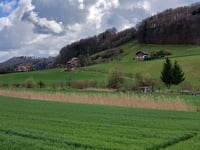 Utzlenbergstrasse von Stettlen
