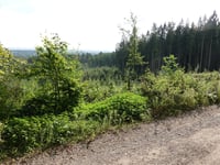 Vaalserberg / Katzenkopf vanuit Eiksken