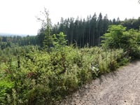 Vaalserberg / Katzenkopf vanuit Eiksken