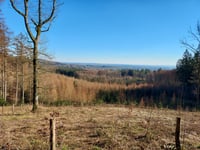 Monte de Vaals - Katzenkopf desde Moresnet-Chapelle