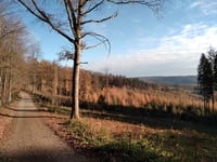 Vaalserberg / Katzenkopf vanuit Eiksken