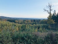 Vaalserberg / Katzenkopf von Moresnet-Chapelle