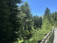 Val Viola from Bormio