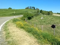 Valdinoce desde Borgo delle Rose