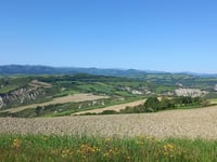 Valdinoce von Piandispino