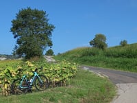 Valdinoce da Piavola