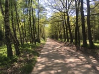 Valenberg from Roekel