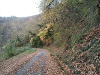 Valico della Faggia von Civitella di Romagna