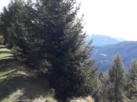 Valico di Baite Salema desde Doverio