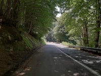 Valico di Montescuro von Cosenza über Bosco di Rovito