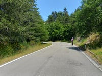 Valico di Prato alle Cogne da Ponte a Poppi