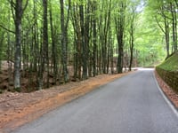 Valico Monte Fumaiolo von Alfero