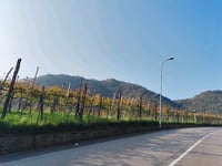 Valico San Giovanni delle Formiche von Foresto Sparso