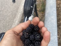 Valico Strisaili von Tortoli