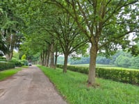 Valkenberg von Rheden